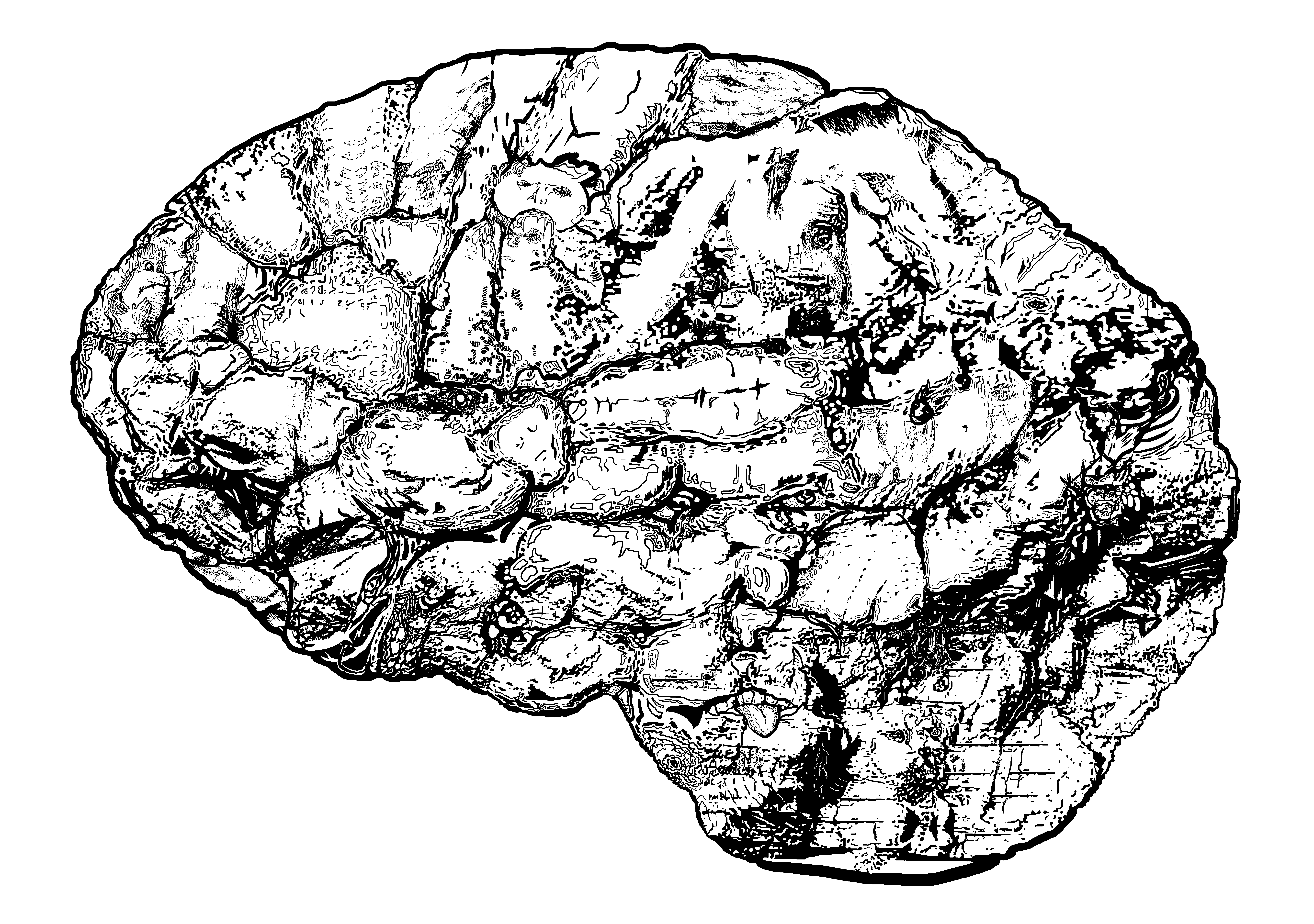 A hidden object drawing of a rocky brain